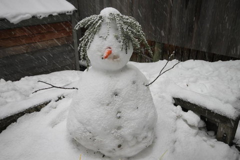 CHILL OUT At THREDBO - Accommodation Cairns 2