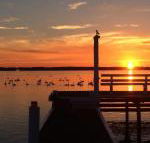 Bayview Boathouse - Accommodation Cairns