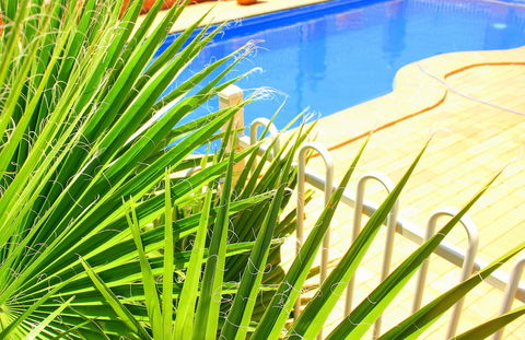 Roma Mid Town Motor Inn - Accommodation Cairns 3