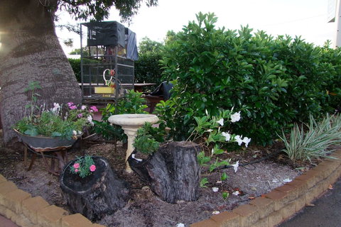 Acacia Motel - Accommodation Cairns 2