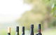 Borrodell Vineyard - thumb 4
