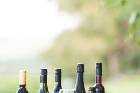 Borrodell Vineyard - Accommodation Cairns 4