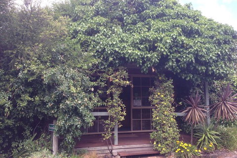 Ti-Tree Village - Accommodation Cairns 6