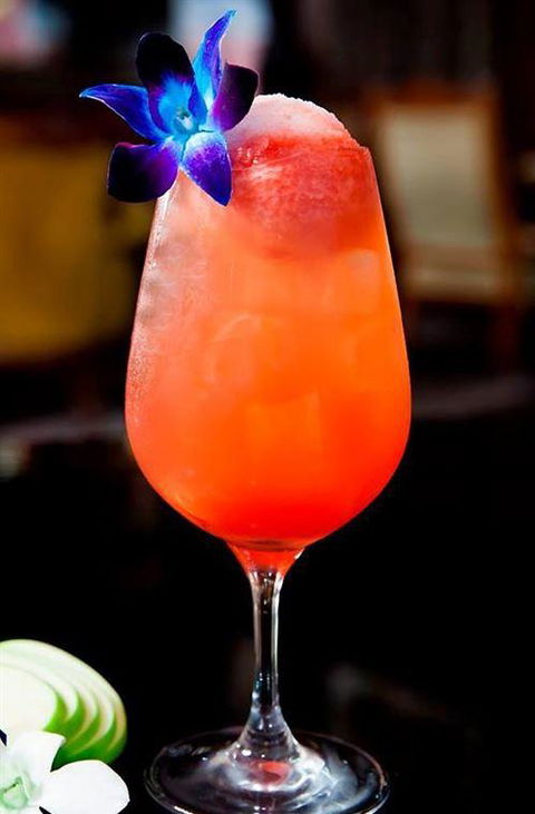 Terra Rossa Restaurant & Bar - Accommodation Cairns 12