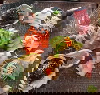 Toshi's Japanese Restaurant - Accommodation Cairns