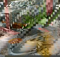 Binga  Mooch - Accommodation Cairns