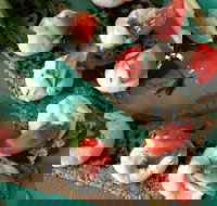 Namaste Nourishment - Accommodation Cairns