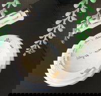 Spill The Beanz - Accommodation Cairns