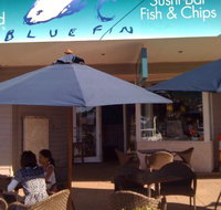 Cornell's Blue Fin - Accommodation Cairns