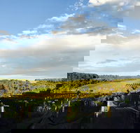 Rare Hare at Willow Creek Vineyard