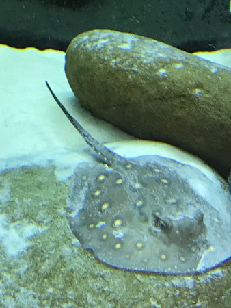 Morwell VIC Accommodation Cairns