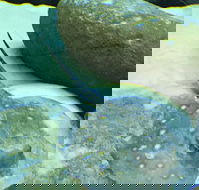 Well St Fish Shop - Accommodation Cairns