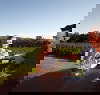 Gapsted Wines - Accommodation Cairns