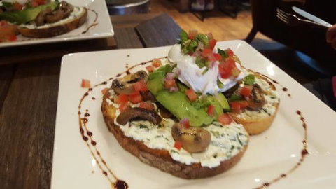 Zebra Cafe - Accommodation Cairns 0