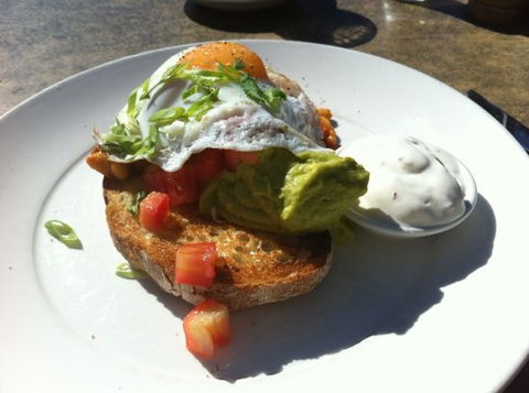 Bellyfish Cafe - Accommodation Cairns 0