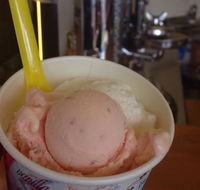 Bermagui Gelati Clinic - Accommodation Cairns
