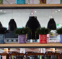 Collegians Balgownie - Accommodation Cairns