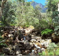 Star Chinese Restaurant - Accommodation Cairns