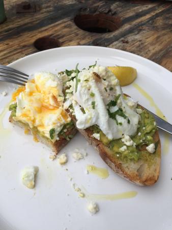 The Green Room - Accommodation Cairns 0