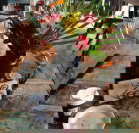 Dusty Beans Cafe - Accommodation Cairns