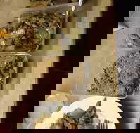 Holbrook Chinese Restaurant - Accommodation Cairns