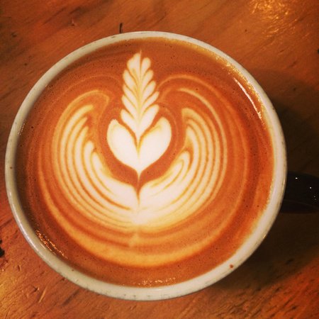 Fernbank Creek NSW Accommodation Cairns