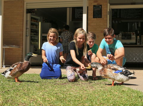 Arkarra Gardens Cafe And Restaurant - Accommodation Cairns 2