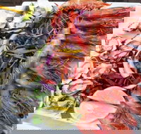 Fitzies Fish and Chips - Accommodation Cairns