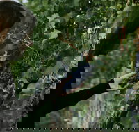 Rowlee Vine To Table Experience - Accommodation Cairns