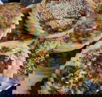 The Re Store Northbridge - Accommodation Cairns