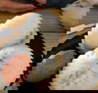 Big Bun - Accommodation Cairns