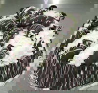 Caf Siciliadolce Pasticceria - Accommodation Cairns