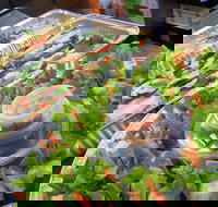 Chopsticks - Accommodation Cairns