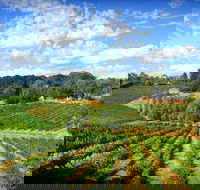 Kellybrook Winery and Kelly Brothers Cider - Accommodation Cairns