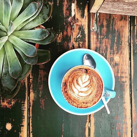 Charlotte's Little Sister - Eveleigh - Accommodation Cairns 0