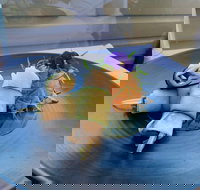 Echoes Restaurant - Accommodation Cairns