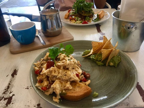 Mr Pilgrim - Accommodation Cairns 0