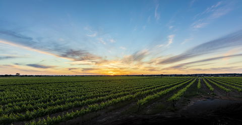 Atze's Corner Wines - Accommodation Cairns 2