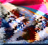 Donut King - Sunshine - Accommodation Cairns