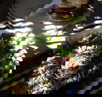 Good Cartel - Accommodation Cairns