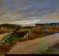 Baarmutha Wines - Accommodation Cairns