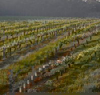 Cape Grace Wines - Accommodation Cairns