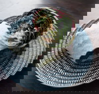 Merlo - Indooroopilly - Accommodation Cairns