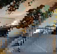 Pinkie - Accommodation Cairns