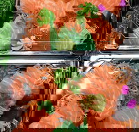 Sushi Izakaya Bar - Accommodation Cairns