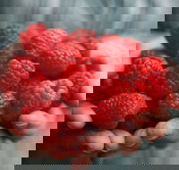 Christmas Hills Raspberry Farm Cafe - Accommodation Cairns