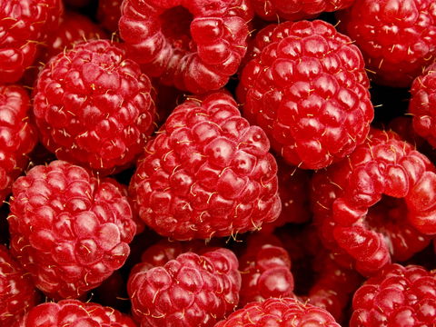 Christmas Hills Raspberry Farm Cafe - Accommodation Cairns 2