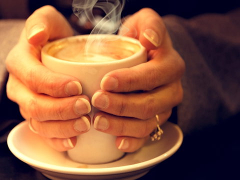 J & L Coffee Roasters And Chocolatiers - Accommodation Cairns 0