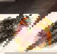 Little Manly Beach Kiosk - Accommodation Cairns