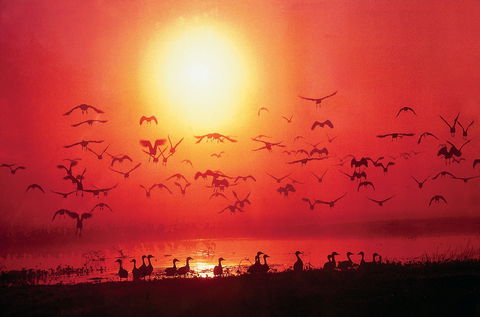 Airport Tavern - Darwin International Airport - Accommodation Cairns 0